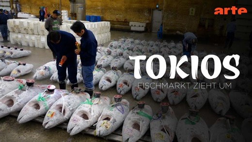 Thunfisch auf Tour - Tokios Fischmarkt zieht um - Die ganze Doku | ARTE | Klaus Scherer