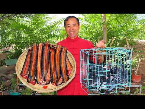 Bizarre Eel + Pigeon Dish Actually Tastes Good? An Unexpected Delicacy! | Uncle Rural Gourmet