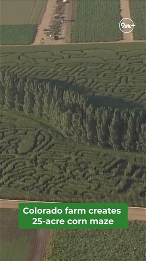 25-acre corn maze in Colorado