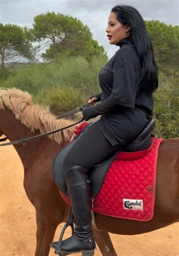Creator Search Insights: Sport Equality & Horse Content Tips