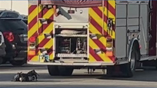 Scene video: FOX54 on the scene of an apartment fire in Decatur