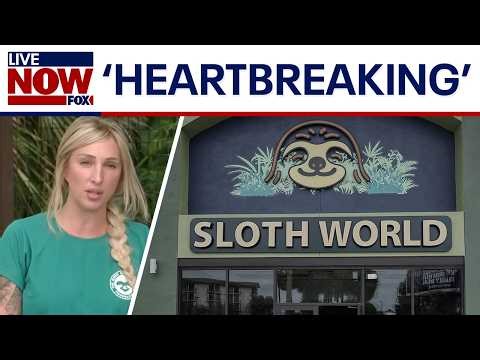 'Sloth World' scandal: Florida leaders demand accountability after 50+ sloths die