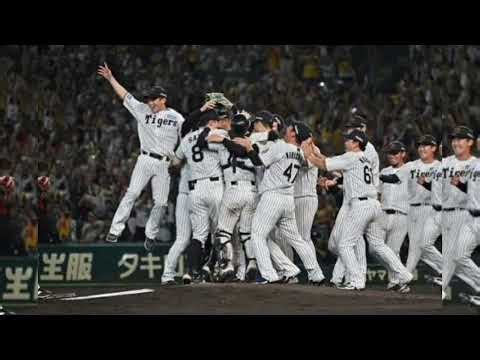 🔥【阪神タイガース】「あと1球コール」に賛否両論！逆転負けで応援文化に批判殺到!? ⚾😱