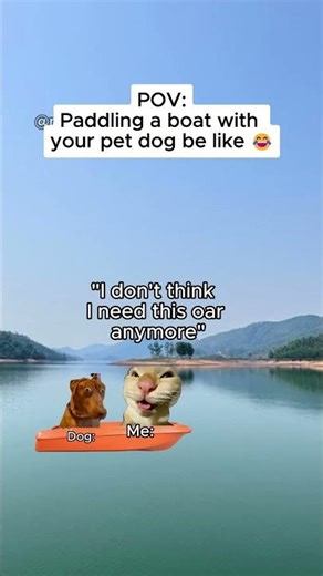 CAT MEMES 🐱 Paddling a boat with your pet dog be like 😂 #shorts #catmemes #relatable