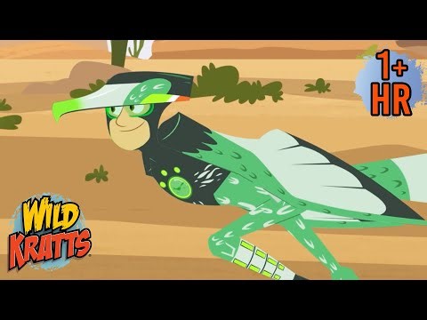 Epic Bird Moments You Won’t Believe! | Creature Facts | Wild Kratts