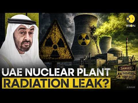 UAE Nuclear Plant Targeted As IAEA Issues Dire Warning | WION Originals