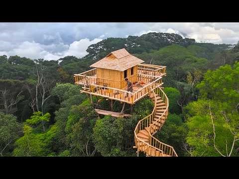 This man is building a 2+1 wooden house at the very top of a tree! Treehouse construction!