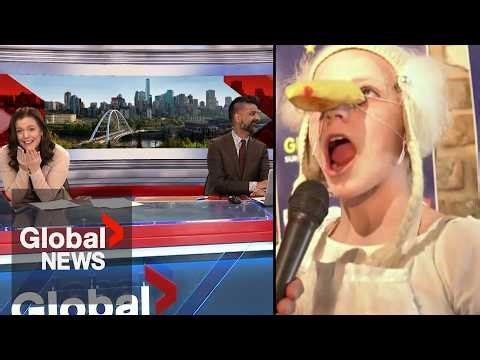 Bloopers: Edmonton anchor in hysterics over seagull squawking contest