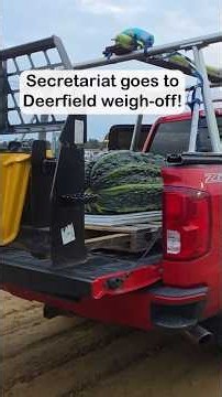 It's time to weigh Secretariat at the Deerfield Fair!