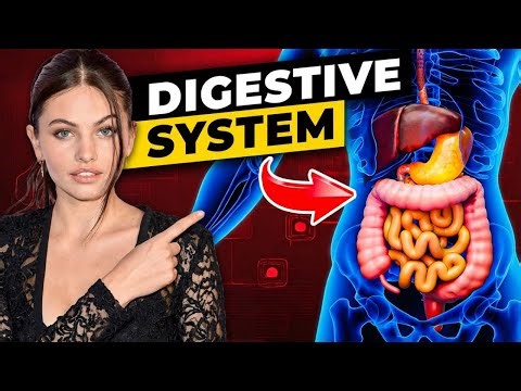 STOP Making These 3 Digestive Health Mistakes NOW