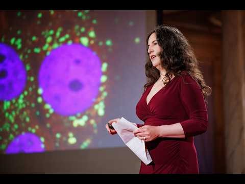 Humility in the Age of AI | Sonja Aits | TEDxMalmö
