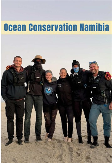 West coast… of Africa! In April, Sion and I spent 10 days working alongside the incredible team at Ocean Conservation Namibia, disentangling Cape fur seals along Namibia’s coastline. From Walvis Bay to Cape Cross and up the Skeleton Coast to Mowe Bay, we disentangled 33 seals. I picked up new skills, I learned that hard way that chameleons bite, and for the first time in my career I had to factor lions into a rescue plan, But what really stuck with me was how the same problem connects two coastl
