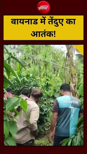 वायनाड में तेंदुए का आतंक! | #Wayanad #LeopardAttack #KeralaNews