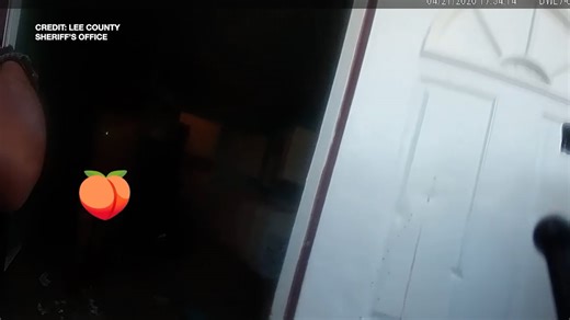 VIDEO: Man accused of grand theft found naked in abandoned Florida home