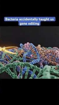 How Bacteria Led to CRISPR | Holoverse