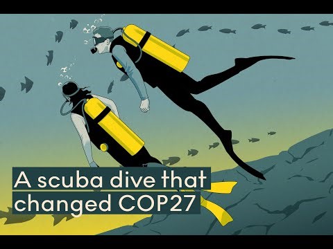 How a small island nation pushed for a deal on loss and damage | The Negotiators