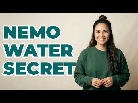 How Did Finding Nemo Achieve Realistic Digital Water?