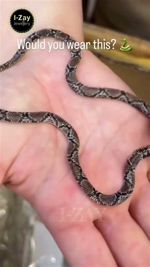 Ultimate 2-in-1 Snake Chain Jewelry Hack! 🐍✨ Bracelet or Necklace?
