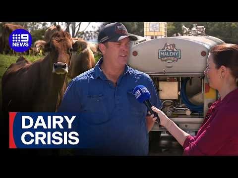 Fears for dairy industry after Queensland farm’s contract axed | 9 News Australia