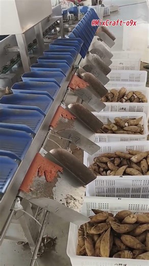 Automatic Sorting Line – Fast, Precise Conveyor System #mixcraft