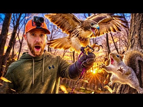 Squirrel Hunting With Hawks vs Dogs. Which Method Works Better?