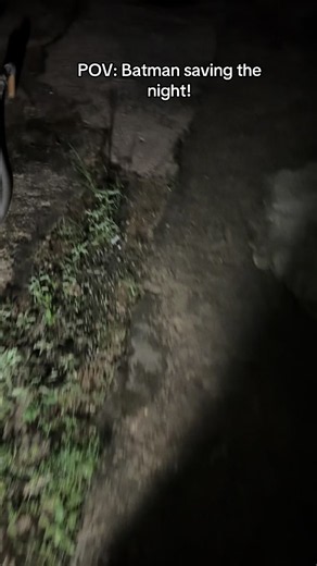 POV: Batman Saving the Night (But No Violence Allowed!) 😂