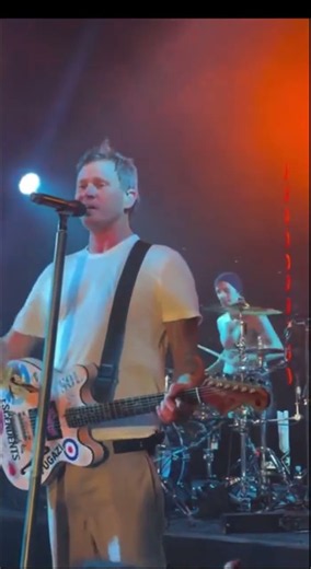 Blink-182 all the small things at private show in Coachella Valley