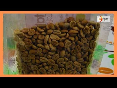 Smart farm | Climate-smart innovations showcased at Nairobi summit
