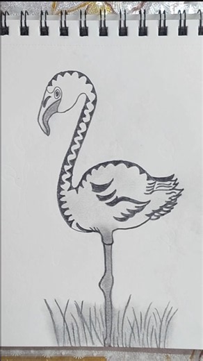 how to draw flamingo/how to draw flamingo step by step/flamingo drawing #Amrendra Classes #flamingo