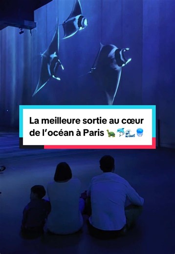 -10% avec le code BONNESADRESSES10 en réservant via le lien dans ma bio 🎁 Commente « OCÉAN » pour recevoir le lien direct avec la réduction dans tes DM ! 💌 Cet automne, l’Atelier des Lumières se transforme en un fascinant univers océanique. Prépare-toi à vivre un voyage spectaculaire et poétique au cœur des profondeurs marines… 🌊 Une traversée sensorielle à 360° Quitte la terre ferme et laisse-toi entraîner dans une descente impressionnante, de la surface jusqu’aux abysses Au fil de l’explora