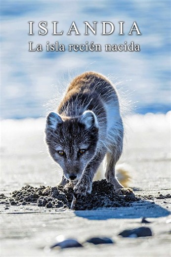 Iceland, the newborn island (2018) | Gallery - Posters | ČSFD.cz