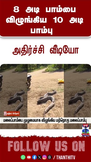 Madyapradesh | Python | Viralvideo