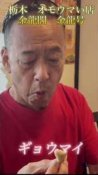 栃木オモウマい店「金龍閣」さんの新メニュー食べたら最高だった！#メイドイン栃木#ギョウマイ#金龍閣#金龍号#オモウマい店 #栃木オモウマい店