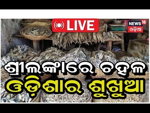 Live: ଚହଳ ପକାଇଛି ଶୁଖୁଆ |Huge Demand for Puri Kanas Patra Sukhua |Export from Puri to Sri Lanka