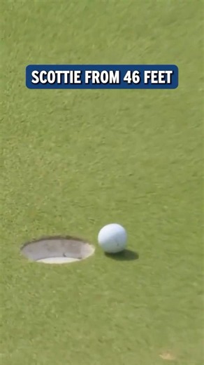Scottie Scheffler Drains INSANE 46-Foot Putt🔥