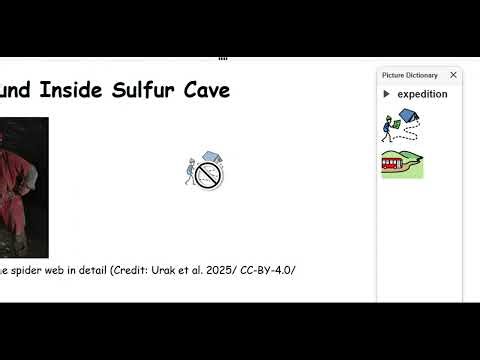 Picture Dictionary in Read&Write