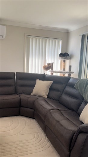 Kmart Home Decor Ideas to Create Cozy Homey Vibes