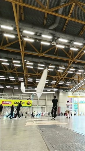 World's LARGEST paper aircraft EVER ✈️|