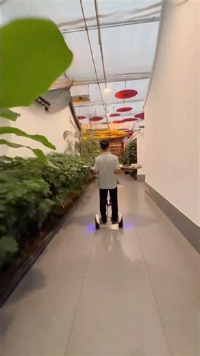 Food Delivery In Howerboard 😳 Daughter And Mom Shocked!