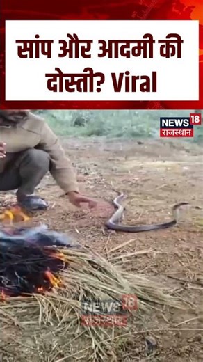 MP Man Snake Viral Video : सांप और आदमी की दोस्ती? Viral | N18S | Top News | Viral Video