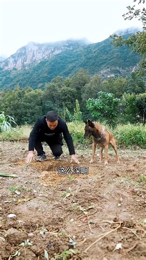 This Dog Used Water to Solve a Problem His Owner Never Thought Of 🤯