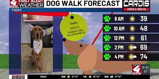 Dog Walk Forecast: Sadie