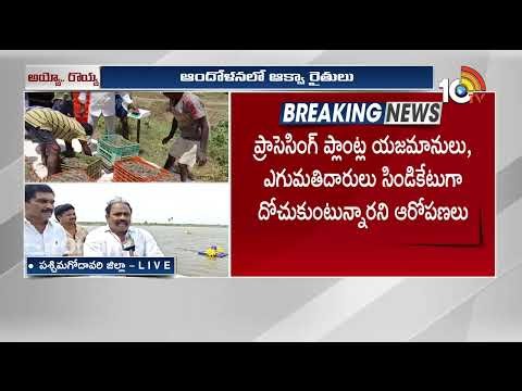 పోరుబాట పట్టిన ఆక్వా రైతులు | Aqua Farmers Protest in AP Over Shrimp Price Drop | 10TVDigital