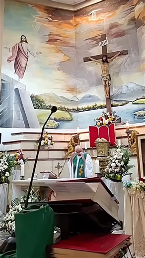 Father Patricio Alfredo Sanchez Molinari dies after large crucifix fell on him inEcuador's Guayaquil