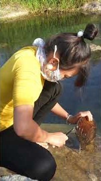 🎁 Giant Mutant Clam and Rare Pearls