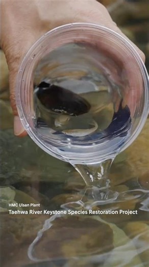 2025 Environmental CSV Campaign ‘Colorful Life’ | Hyundai Continue | #Shorts