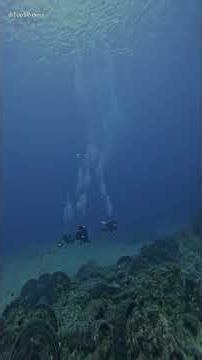 Top 5 Deadliest Computer Viruses in History