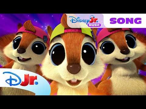 SuperKitties “The Zoomie-Zoom-Zoom Dance” Song! 🐱🎵 | Disney Jr.