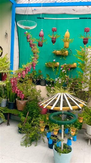 Village life vibes 🟢 the beauty of rural life #terracegarden #flowers #youtubeshorts