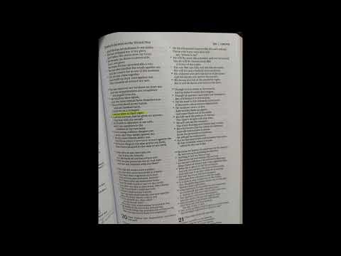 Biblical Aliens